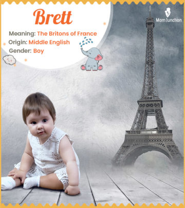 Brett, the Britons of France