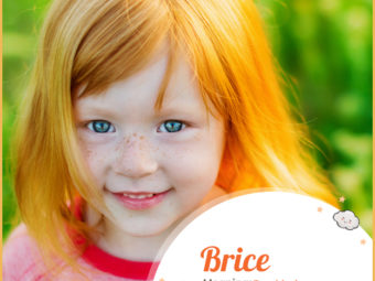 Brice, the freckled one