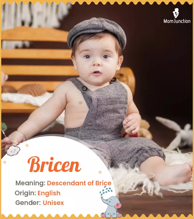 Origin, Meaning & Other Facts About Baby Name Bricen ...