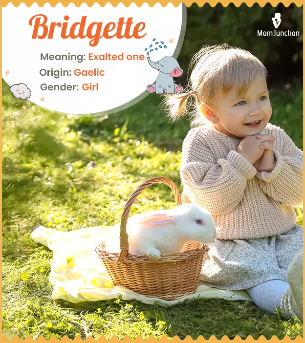 bridgette: Name Meaning, Origin, History, And Popularity ...