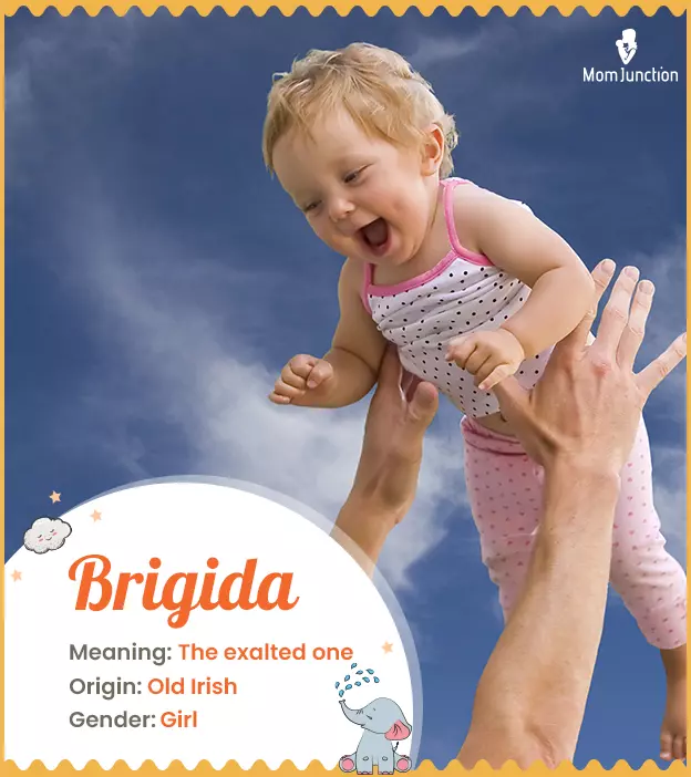 Brigida Meaning, Origin, History, And Popularity_image