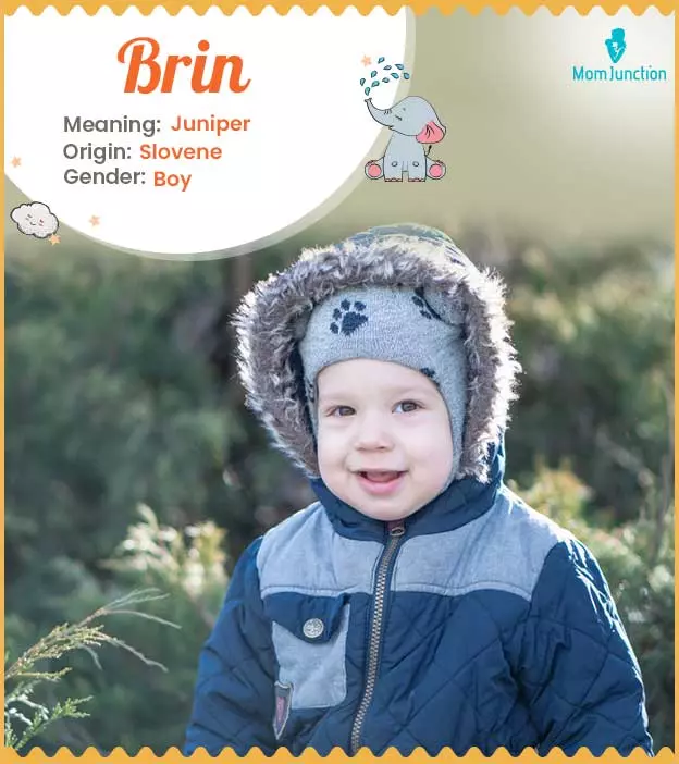 Origin, Meaning & Other Facts About Baby Name Brin | MomJunction