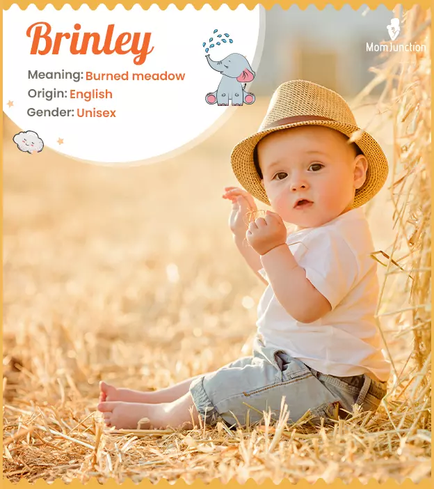 Brinley: Name Meaning, Origin, History, And Popularity | MomJunction