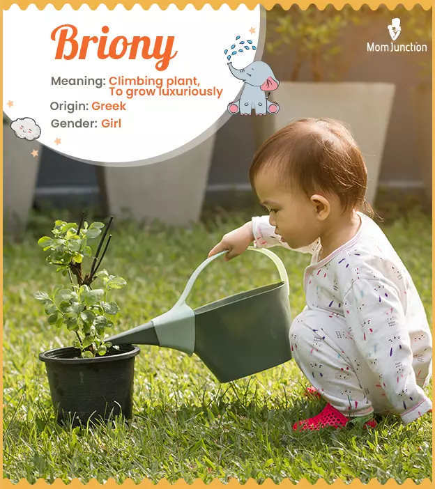 Briony means to grow