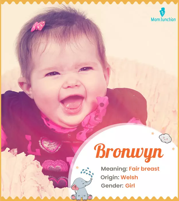 Bronwyn Name, Meaning, Origin, History, And Popularity ...