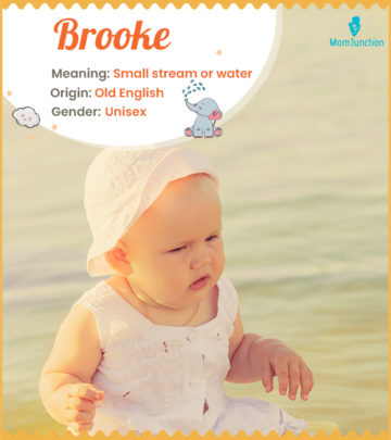 Brooke, an old English name