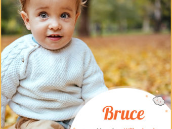 Bruce, unique Scottish name