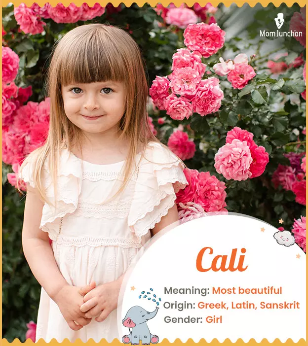 cali: Name Meaning, Origin, History, And Popularity | MomJunction