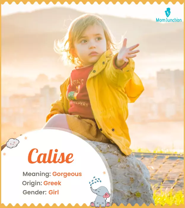 Calise Name Meaning, Origin, History, And Popularity_image