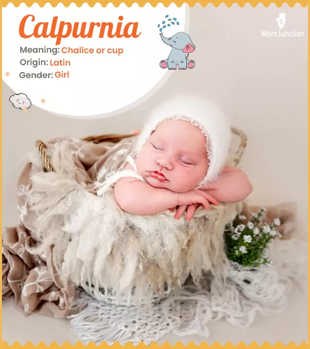 Calpurnia Name, Origin, Meaning, And History_image