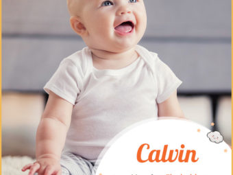 Calvin, Latin name meaning the bald one