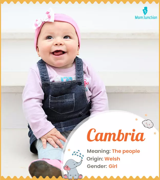 Cambria Name Meaning, Origin, History, And Popularity_image