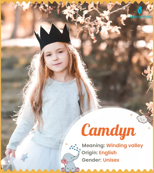 Camdyn: Meaning, Origin, Popularity | MomJunction