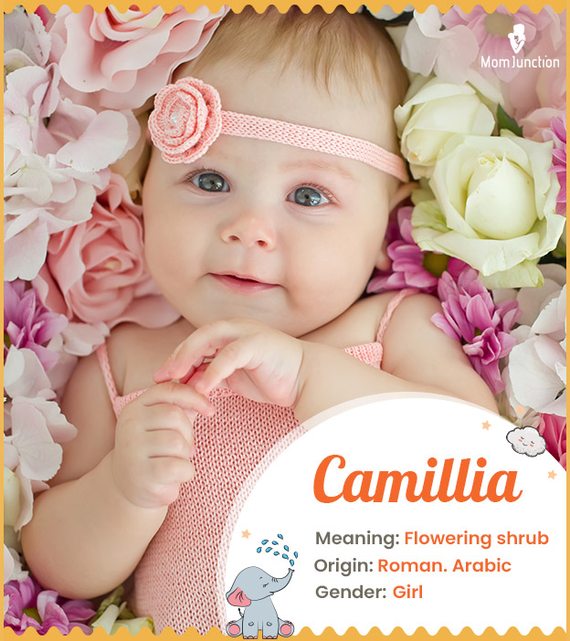 Camille Name Meaning, Origin, Popularity, Girl Names Like Camille