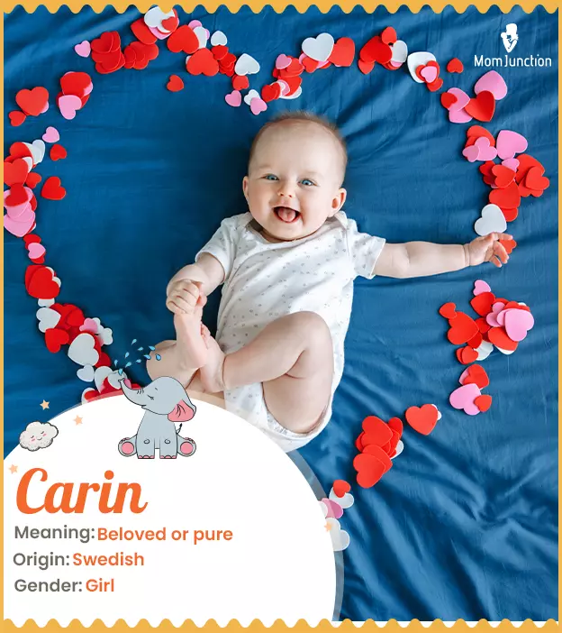 Carin Name, Meaning, Origin, History, And Popularity | MomJunction