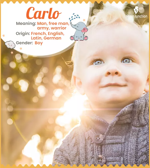 Carlo Name Meaning, Origin, History, And Popularity_image