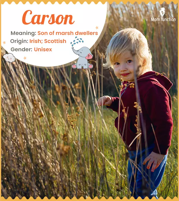 Carson: Name Meaning, Origin, History, And Popularity_image