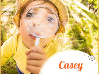 Casey, name that exudes charm, strength, and fearless attitude.