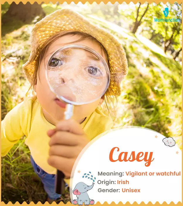 Casey Name, Meaning, Origin, History, And Popularity_image