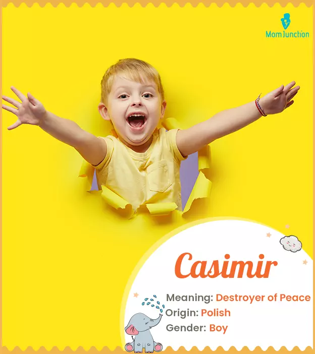 Casimir: Name Meaning, Origin, History, And Popularity | MomJunction