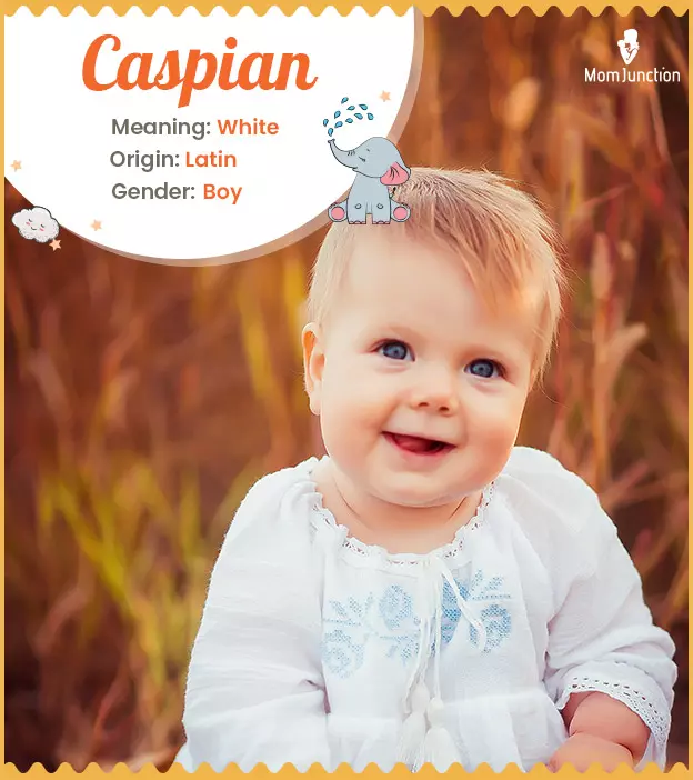 Caspian, a white bab