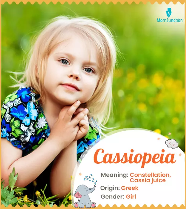 Cassiopeia Name Meaning, Origin, History, And Popularity_image