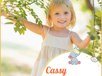 Cassy, a Greek feminine name