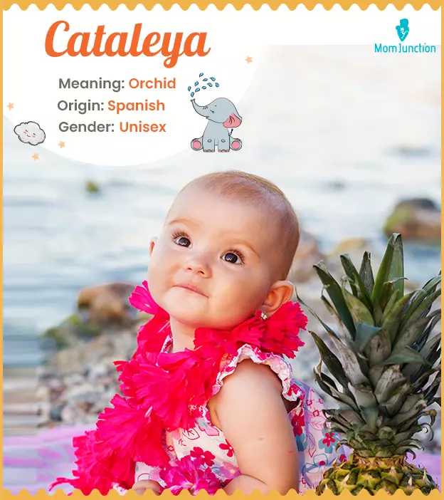Cataleya Name, Origin, Meaning, And History | MomJunction