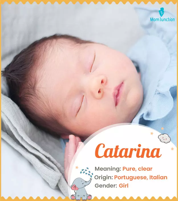 catarina: Name Meaning, Origin, History, And Popularity_image