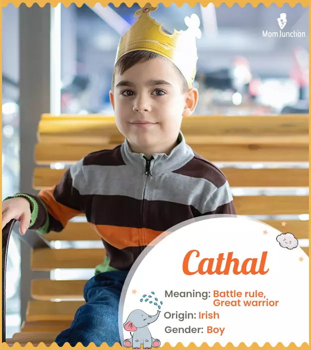 Cathal: Name Meaning, Origin, History, And Popularity_image