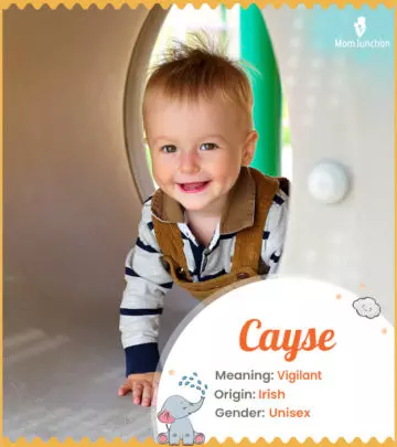 Cayse: Meaning, Origin, Popularity_image