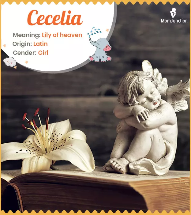 Cecelia, lily of hea