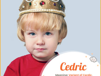 Cedric, a name inspired by a famous novel