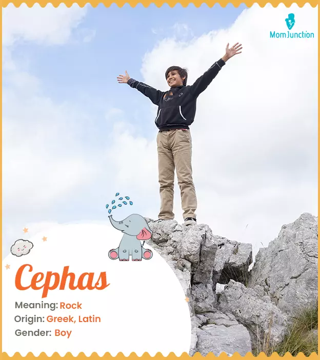 Cephas Name Meaning, Origin, History, and Popularity_image