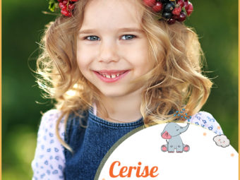 Cerise means cherry