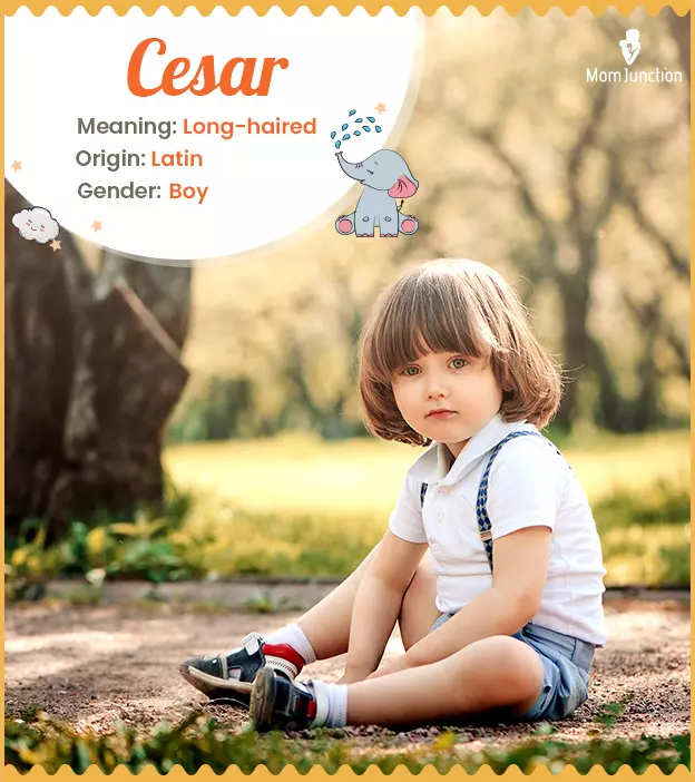 Cesar: Name Meaning, Origin, History, And Popularity | MomJunction
