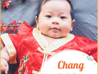 Chang, a Chinese name
