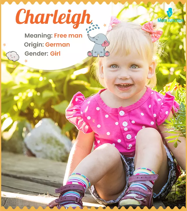 Charleigh: Name Meaning, Origin, History, And Popularity ...