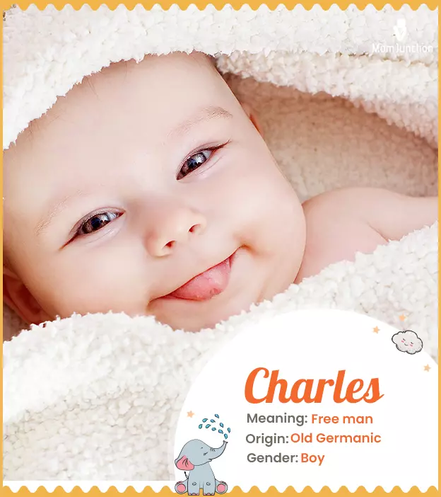 Charles: Name Meaning, Origin, History, And Popularity ...