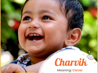 Charvik, meaning clever