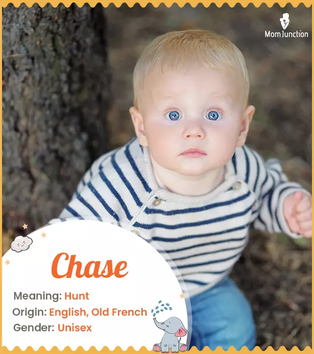 Chase: Name Meaning, Origin, History, And Popularity | MomJunction