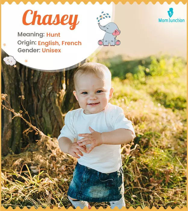 Chasey: Name Meaning, Origin, History, And Popularity | MomJunction