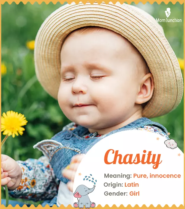 Chasity: Name Meaning, Origin, History, And Popularity | MomJunction