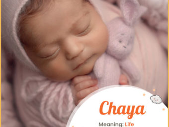 Chaya, meaning life