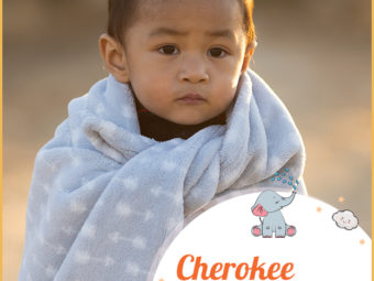 Cherokee, means people of a different speech or the name of the largest Native American tribe.