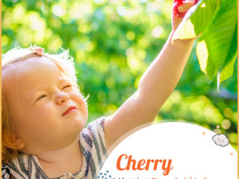 Cherry, a pretty name for your darling daughter