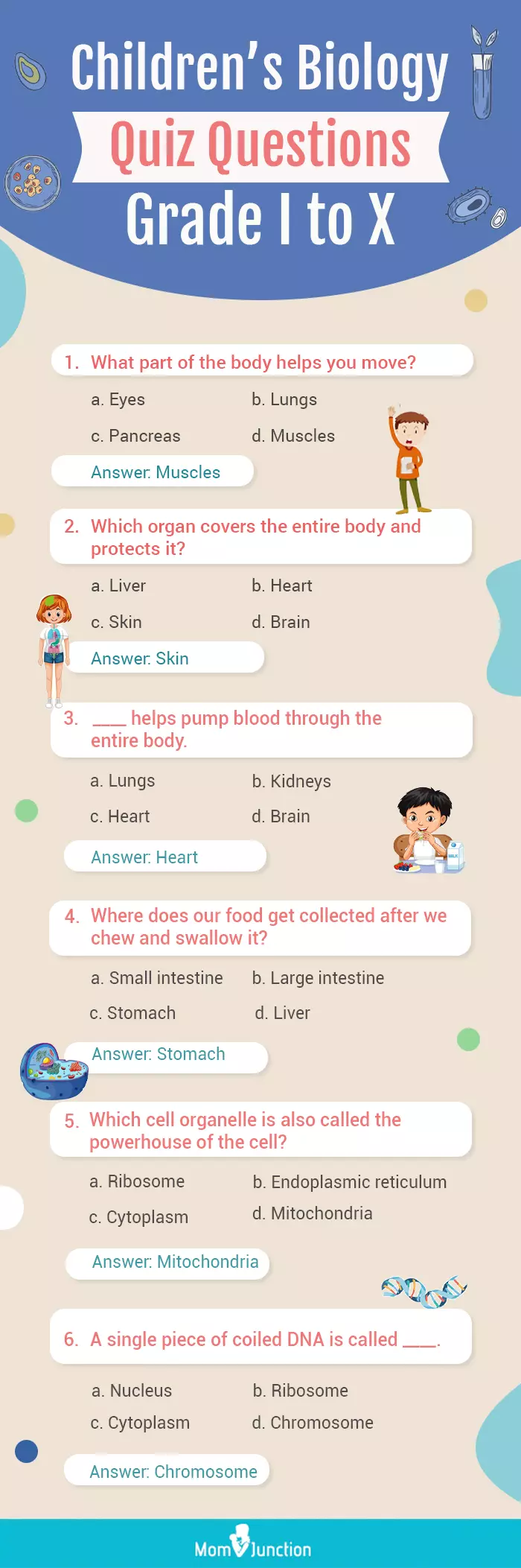childrens biology quiz questions grade I to X (infographic)