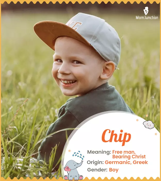 Chip: Meaning, Origin, Popularity | MomJunction