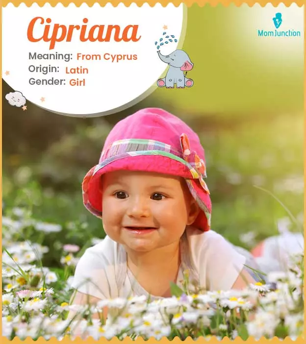 Cipriana: Meaning, Origin, Popularity_image