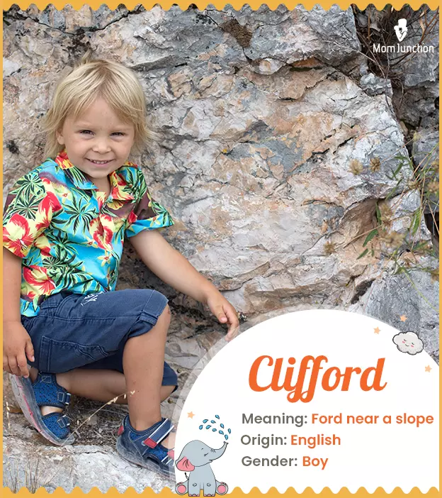 Clifford Name Meaning, Origin, History, And Popularity_image